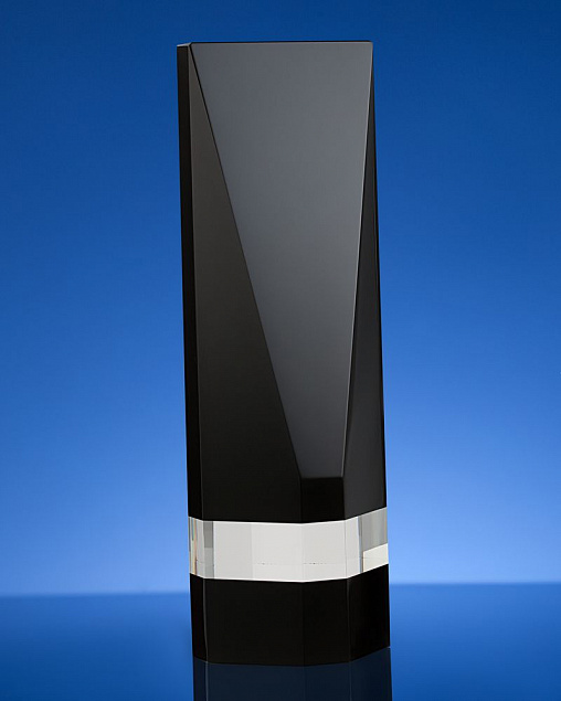 Награда Statum с логотипом в Нефтекамске заказать по выгодной цене в кибермаркете AvroraStore