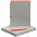Набор Flexpen, серебристо-оранжевый с логотипом в Нефтекамске заказать по выгодной цене в кибермаркете AvroraStore