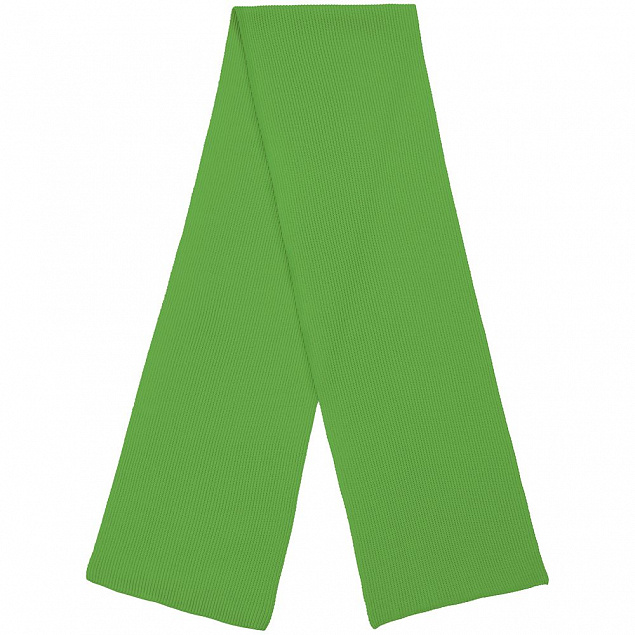 Шарф Life Explorer, зеленый с логотипом в Нефтекамске заказать по выгодной цене в кибермаркете AvroraStore