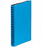 Ежедневник Spring Shall, недатированный, голубой с логотипом в Нефтекамске заказать по выгодной цене в кибермаркете AvroraStore