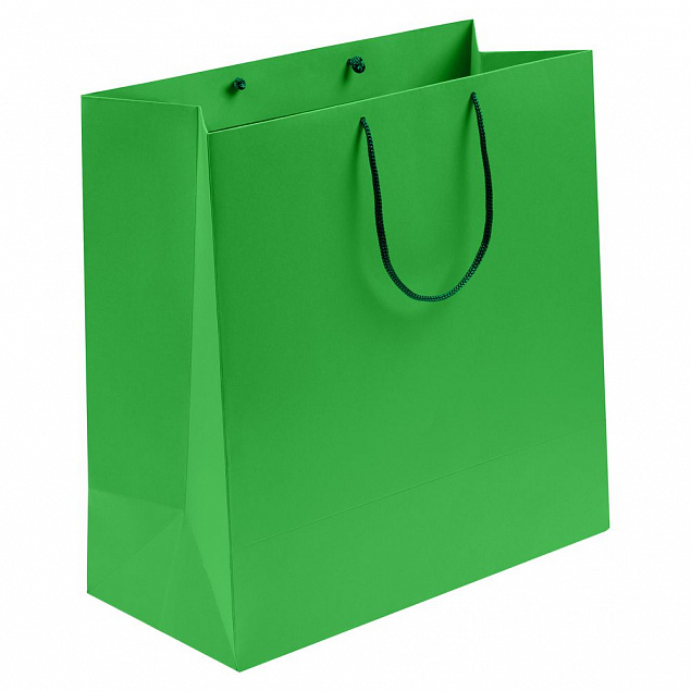 Пакет бумажный Porta, большой, зеленый с логотипом в Нефтекамске заказать по выгодной цене в кибермаркете AvroraStore