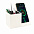 Настольный органайзер Elegans c беспроводной зарядкой - Черный AA с логотипом в Нефтекамске заказать по выгодной цене в кибермаркете AvroraStore