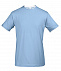 Футболка мужская с контрастной отделкой MADISON 170, голубой/белый с логотипом в Нефтекамске заказать по выгодной цене в кибермаркете AvroraStore
