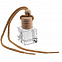 Ароматизатор воздуха Flava Ice, ментол с логотипом в Нефтекамске заказать по выгодной цене в кибермаркете AvroraStore