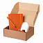 Подарочный набор Portland Btobook, оранжевый (ежедневник, ручка, зарядная станция) с логотипом в Нефтекамске заказать по выгодной цене в кибермаркете AvroraStore