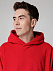 Худи флисовое унисекс Manakin, красное с логотипом в Нефтекамске заказать по выгодной цене в кибермаркете AvroraStore