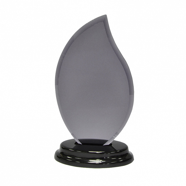 Статуэтка наградная "Flame" с логотипом в Нефтекамске заказать по выгодной цене в кибермаркете AvroraStore