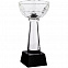 Кубок Cupture, малый с логотипом в Нефтекамске заказать по выгодной цене в кибермаркете AvroraStore