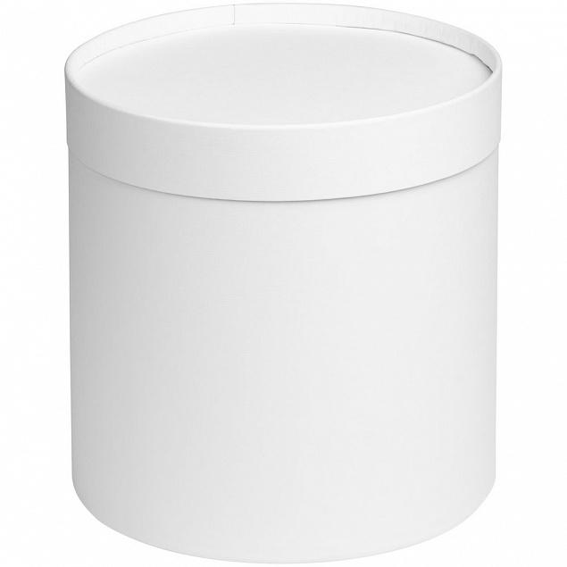 Коробка Circa L, белая с логотипом в Нефтекамске заказать по выгодной цене в кибермаркете AvroraStore