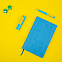 Набор COLORSPRING: аккумулятор, ручка, бизнес-блокнот, коробка со стружкой, голубой/желтый с логотипом в Нефтекамске заказать по выгодной цене в кибермаркете AvroraStore