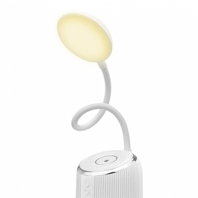 Led лампа и USB увлажнитель 2 в 1 Moon light с логотипом в Нефтекамске заказать по выгодной цене в кибермаркете AvroraStore