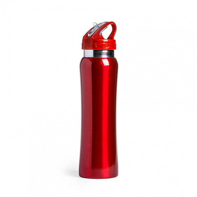 Бутылка для воды SMALY с трубочкой, нержавеющая сталь с логотипом в Нефтекамске заказать по выгодной цене в кибермаркете AvroraStore