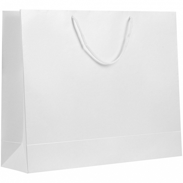 Пакет бумажный «Блеск», большой, белый с логотипом в Нефтекамске заказать по выгодной цене в кибермаркете AvroraStore