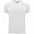 Спортивная футболка BAHRAIN мужская, НЕБЕСНО-ГОЛУБОЙ S с логотипом в Нефтекамске заказать по выгодной цене в кибермаркете AvroraStore