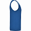 Майка TEXAS мужская, КОРОЛЕВСКИЙ СИНИЙ XL с логотипом в Нефтекамске заказать по выгодной цене в кибермаркете AvroraStore