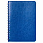 Ежедневник Vista Neo недатированный, ярко-синий с логотипом в Нефтекамске заказать по выгодной цене в кибермаркете AvroraStore
