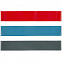 Набор эластичных лент для фитнеса Zen с логотипом в Нефтекамске заказать по выгодной цене в кибермаркете AvroraStore