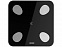 Умные диагностические весы Picooc Mini Lite Black (6924917717469), черный с логотипом в Нефтекамске заказать по выгодной цене в кибермаркете AvroraStore