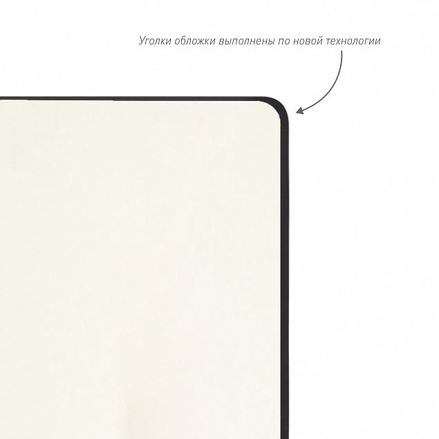 Ежедневник Alpha BtoBook недатированный, черный (без резинки, без упаковки, без стикера) с логотипом в Нефтекамске заказать по выгодной цене в кибермаркете AvroraStore