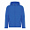 Мужская куртка Iqoniq Makalu из переработанного полиэстера AWARE™, 300 г/м² с логотипом в Нефтекамске заказать по выгодной цене в кибермаркете AvroraStore