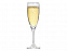 Бокал для шампанского «Flute» с логотипом в Нефтекамске заказать по выгодной цене в кибермаркете AvroraStore