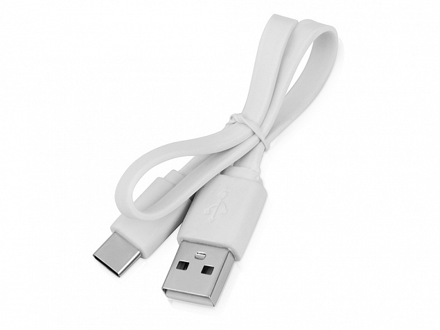 Кабель USB 2.0 A - USB Type-C с логотипом в Нефтекамске заказать по выгодной цене в кибермаркете AvroraStore