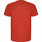 Спортивная футболка IMOLA мужская, КРАСНЫЙ S с логотипом в Нефтекамске заказать по выгодной цене в кибермаркете AvroraStore