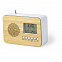 Радиобудильник Tulax с логотипом в Нефтекамске заказать по выгодной цене в кибермаркете AvroraStore