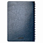 Ежедневник Vista Neo недатированный, синий с логотипом в Нефтекамске заказать по выгодной цене в кибермаркете AvroraStore