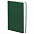 Ежедневник Basis, датированный, зеленый с логотипом в Нефтекамске заказать по выгодной цене в кибермаркете AvroraStore