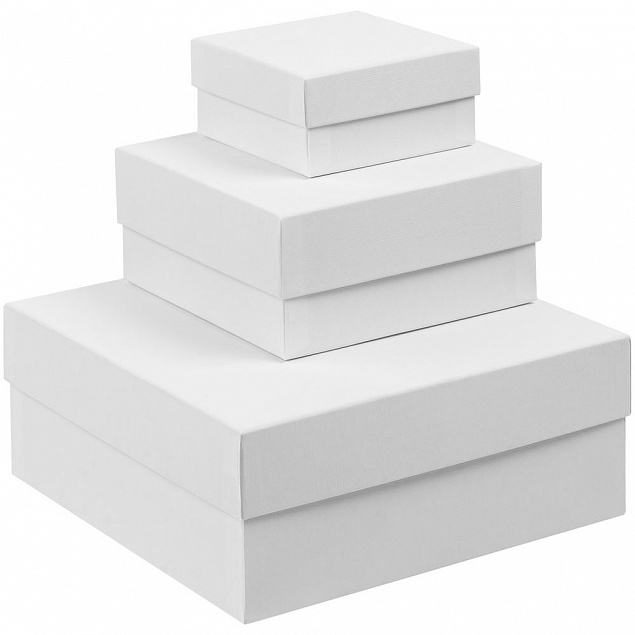 Коробка Emmet, большая, белая с логотипом в Нефтекамске заказать по выгодной цене в кибермаркете AvroraStore
