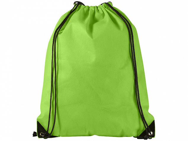 Рюкзак-мешок Evergreen, зеленое яблоко с логотипом в Нефтекамске заказать по выгодной цене в кибермаркете AvroraStore
