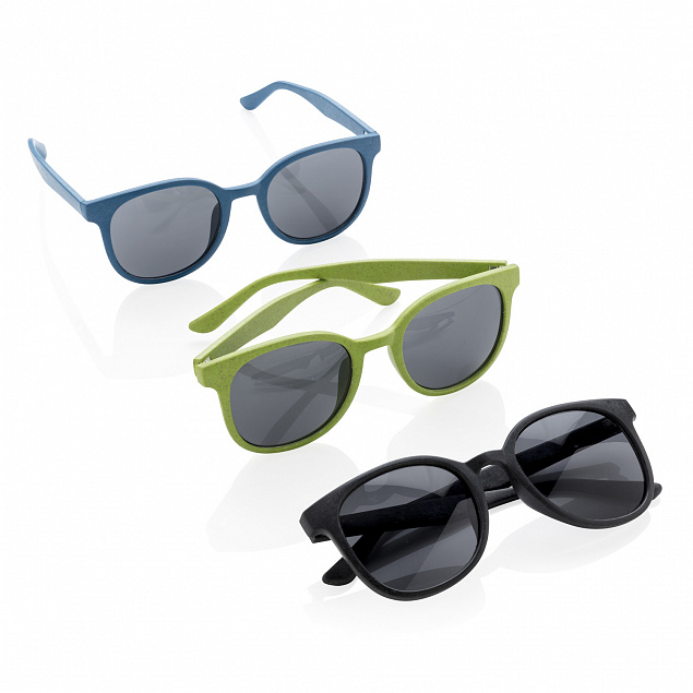 Солнцезащитные очки ECO, синий с логотипом в Нефтекамске заказать по выгодной цене в кибермаркете AvroraStore