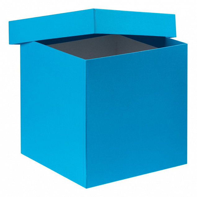 Коробка Cube L, голубая с логотипом в Нефтекамске заказать по выгодной цене в кибермаркете AvroraStore