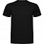 Спортивная футболка MONTECARLO мужская, ЧЕРНЫЙ S с логотипом в Нефтекамске заказать по выгодной цене в кибермаркете AvroraStore