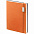 Ежедневник Vivian Metal, недатированный, оранжевый с логотипом в Нефтекамске заказать по выгодной цене в кибермаркете AvroraStore