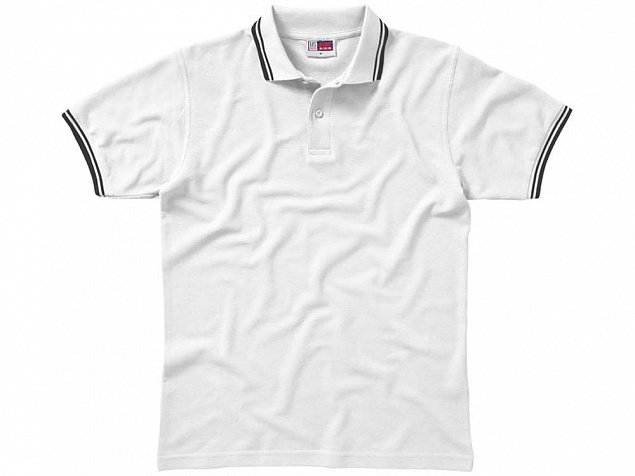 Рубашка поло "Erie" мужская с логотипом в Нефтекамске заказать по выгодной цене в кибермаркете AvroraStore
