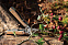 Деревянный мультитул для садовых работ с логотипом в Нефтекамске заказать по выгодной цене в кибермаркете AvroraStore
