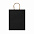 Пакет бумажный ROBLE, Черный с логотипом в Нефтекамске заказать по выгодной цене в кибермаркете AvroraStore