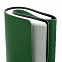 Ежедневник Strep, недатированный, зеленый с логотипом в Нефтекамске заказать по выгодной цене в кибермаркете AvroraStore