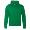 Толстовка Толстовка 20 Зелёный с логотипом в Нефтекамске заказать по выгодной цене в кибермаркете AvroraStore