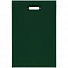 Чехол для пропуска Shall, зеленый с логотипом в Нефтекамске заказать по выгодной цене в кибермаркете AvroraStore