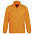 Куртка мужская North, оранжевый неон с логотипом в Нефтекамске заказать по выгодной цене в кибермаркете AvroraStore