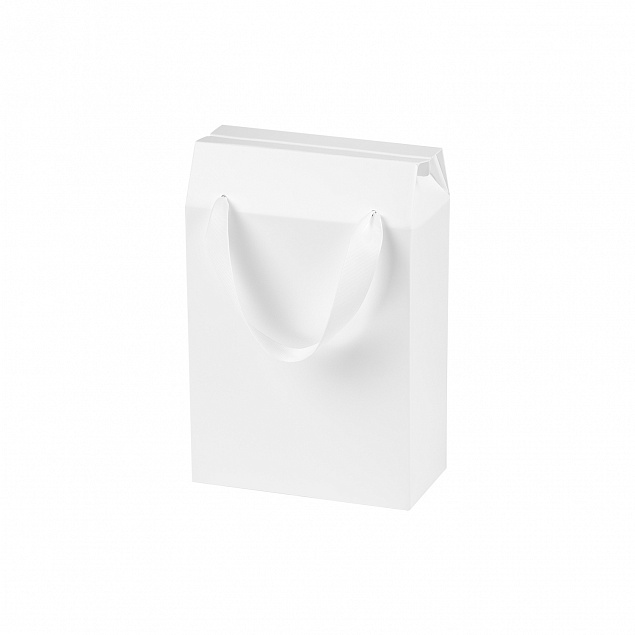 Подарочная коробка-пакет универсальная малая, белая, 186х277х100 мм (с ложементом) с логотипом в Нефтекамске заказать по выгодной цене в кибермаркете AvroraStore