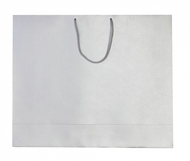 Пакет бумажный «Блеск», большой, серебристый с логотипом в Нефтекамске заказать по выгодной цене в кибермаркете AvroraStore