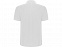 Рубашка поло Pegaso мужская, белый с логотипом в Нефтекамске заказать по выгодной цене в кибермаркете AvroraStore