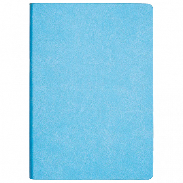 Ежедневник Portobello Trend, Latte NEW, недатированный, голубой/синий с логотипом в Нефтекамске заказать по выгодной цене в кибермаркете AvroraStore