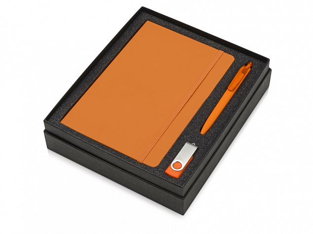 Подарочный набор Vision Pro Plus soft-touch с флешкой, ручкой и блокнотом А5 с логотипом в Нефтекамске заказать по выгодной цене в кибермаркете AvroraStore