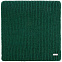 Шарф Tommi, зеленый с логотипом в Нефтекамске заказать по выгодной цене в кибермаркете AvroraStore