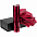 Набор Gems: зонт и термос, красный с логотипом в Нефтекамске заказать по выгодной цене в кибермаркете AvroraStore
